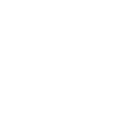 Audited By